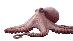 Giant Dock Octopus V3 Vinyl Car Decal Sticker – Waterproof & UV-Resistant 5.4