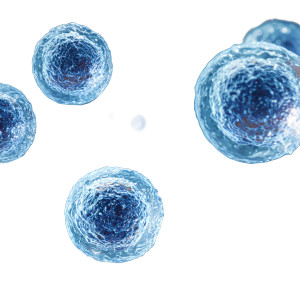 Blue T Cells Vinyl Car Decal Sticker – Waterproof & UV-Resistant 3.4133333333333336"