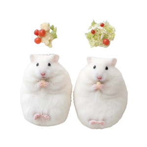 Dining Hamsters Vinyl Car Decal Sticker – Waterproof & UV-Resistant 6.826666666666667"