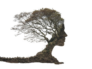 Tree Woman Vinyl Car Decal Sticker – Waterproof & UV-Resistant 6.1866666666666665" Tree Woman Vinyl Car Decal Sticker – Waterproof & UV-Resistant 6.1866666666666665"