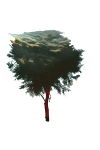 Surreal Dusk Tree Vinyl Car Decal Sticker – Waterproof & UV-Resistant 4.4