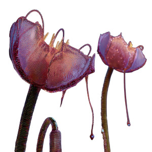 Biomechanical Tulip Vinyl Car Decal Sticker – Waterproof & UV-Resistant 6.826666666666667" Biomechanical Tulip Vinyl Car Decal Sticker – Waterproof & UV-Resistant 6.826666666666667"