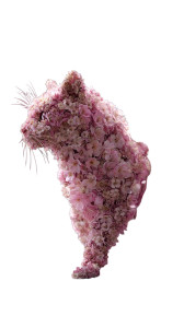 Blossom Cat V2 Vinyl Car Decal Sticker – Waterproof & UV-Resistant 9.706666666666667"