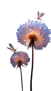 Tiny Fairies Flying Vinyl Car Decal Sticker – Waterproof & UV-Resistant 4.8533333333333335"