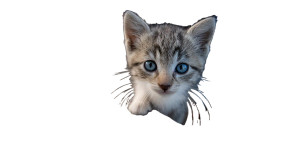 Kitten V6 Vinyl Car Decal Sticker – Waterproof & UV-Resistant 2.72" Kitten V6 Vinyl Car Decal Sticker – Waterproof & UV-Resistant 2.72"