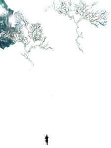 Tiny Human Observer Vinyl Car Decal Sticker – Waterproof & UV-Resistant 4.1066666666666665"