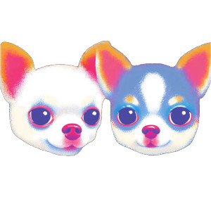Couple Chihuahua Vinyl Car Decal Sticker – Waterproof & UV-Resistant 3.4133333333333336" Couple Chihuahua Vinyl Car Decal Sticker – Waterproof & UV-Resistant 3.4133333333333336"