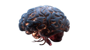 Morphing Brain Sculpture Vinyl Car Decal Sticker – Waterproof & UV-Resistant 5.4