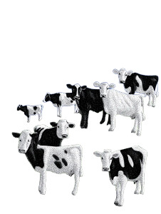 Cows In Field V2 Vinyl Car Decal Sticker – Waterproof & UV-Resistant 8.213333333333333"