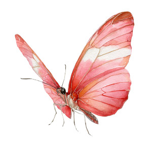Pink Watercolor Butterfly V2 Vinyl Car Decal Sticker – Waterproof & UV-Resistant 3.4133333333333336" Pink Watercolor Butterfly V2 Vinyl Car Decal Sticker – Waterproof & UV-Resistant 3.4133333333333336"