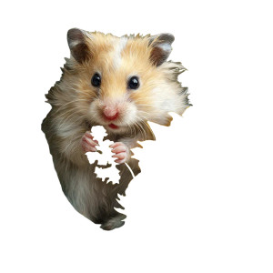 Golden Hamster Snack Vinyl Car Decal Sticker – Waterproof & UV-Resistant 6.826666666666667"