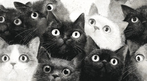 Many-Eyed Cats Vinyl Car Decal Sticker – Waterproof & UV-Resistant 5.4 Many-Eyed Cats Vinyl Car Decal Sticker – Waterproof & UV-Resistant 5.4