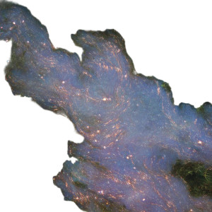 Neon Moss Terrain V2 Vinyl Car Decal Sticker – Waterproof & UV-Resistant 3.4133333333333336"