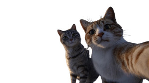 Cats Taking Selfie V12 Vinyl Car Decal Sticker – Waterproof & UV-Resistant 5.4