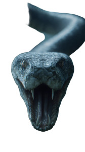 Giant Snake Attack V3 Vinyl Car Decal Sticker – Waterproof & UV-Resistant 9.706666666666667" Giant Snake Attack V3 Vinyl Car Decal Sticker – Waterproof & UV-Resistant 9.706666666666667"