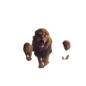 Lions And Jets Vinyl Car Decal Sticker – Waterproof & UV-Resistant 6.826666666666667"