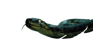 Venomous Jungle Snake Vinyl Car Decal Sticker – Waterproof & UV-Resistant 2.72"