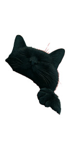 Sleeping Black Cat V9 Vinyl Car Decal Sticker – Waterproof & UV-Resistant 4.8533333333333335"