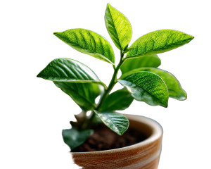 Vibrant Green Leaves Vinyl Car Decal Sticker – Waterproof & UV-Resistant 3.2"