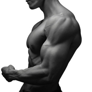 Muscular Bodybuilder V7 Vinyl Car Decal Sticker – Waterproof & UV-Resistant 6.826666666666667"