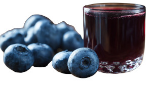 Fresh Blueberries Display V2 Vinyl Car Decal Sticker – Waterproof & UV-Resistant 2.72" Fresh Blueberries Display V2 Vinyl Car Decal Sticker – Waterproof & UV-Resistant 2.72"