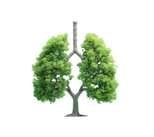 Lung Tree Vinyl Car Decal Sticker – Waterproof & UV-Resistant 3.4133333333333336"