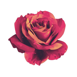 Vector Rose Vinyl Car Decal Sticker – Waterproof & UV-Resistant 6.826666666666667" Vector Rose Vinyl Car Decal Sticker – Waterproof & UV-Resistant 6.826666666666667"