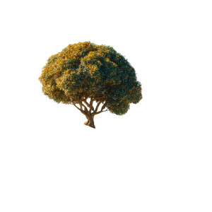 Surreal Cubist Tree Vinyl Car Decal Sticker – Waterproof & UV-Resistant 6.826666666666667"