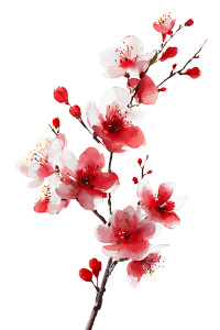 Red Plum Blossom V3 Vinyl Car Decal Sticker – Waterproof & UV-Resistant 4.4