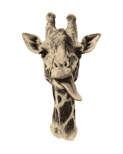 Minimalist Giraffe Vinyl Car Decal Sticker – Waterproof & UV-Resistant 8.0"