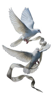 Doves With Ribbon Vinyl Car Decal Sticker – Waterproof & UV-Resistant 9.706666666666667"