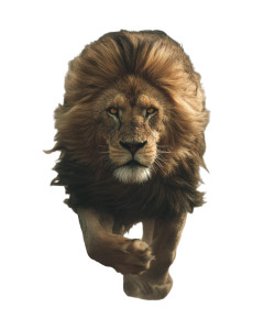 Majestic Charging Lion Vinyl Car Decal Sticker – Waterproof & UV-Resistant 8.0"