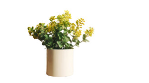 Serene Plant Pot Vinyl Car Decal Sticker – Waterproof & UV-Resistant 5.4