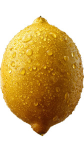 Vibrant Yellow Lemon Vinyl Car Decal Sticker – Waterproof & UV-Resistant 4.8533333333333335"