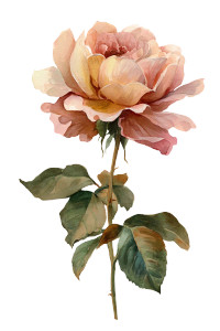 Vintage Rose Bloom Vinyl Car Decal Sticker – Waterproof & UV-Resistant 4.4