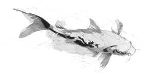Koi Carp Poster Vinyl Car Decal Sticker – Waterproof & UV-Resistant 2.56"