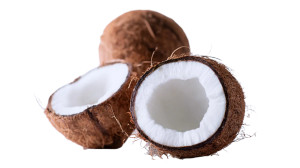 Coconut On White Vinyl Car Decal Sticker – Waterproof & UV-Resistant 2.72" Coconut On White Vinyl Car Decal Sticker – Waterproof & UV-Resistant 2.72"