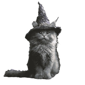 Witchy Cat V2 Vinyl Car Decal Sticker – Waterproof & UV-Resistant 3.4133333333333336" Witchy Cat V2 Vinyl Car Decal Sticker – Waterproof & UV-Resistant 3.4133333333333336"