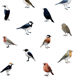 Stylized Bird Pattern Vinyl Car Decal Sticker – Waterproof & UV-Resistant 6.826666666666667"