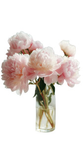 Pink Peonies Bouquet V2 Vinyl Car Decal Sticker – Waterproof & UV-Resistant 4.8533333333333335"