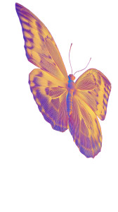 Wireframe Butterfly Vinyl Car Decal Sticker – Waterproof & UV-Resistant 9.706666666666667"