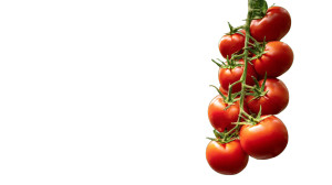 Tomato Greenhouse Vinyl Car Decal Sticker – Waterproof & UV-Resistant 5.4