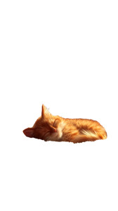 Ginger Cats On Mars Vinyl Car Decal Sticker – Waterproof & UV-Resistant 9.706666666666667" Ginger Cats On Mars Vinyl Car Decal Sticker – Waterproof & UV-Resistant 9.706666666666667"