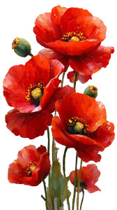 Red Poppy Flowers Vinyl Car Decal Sticker – Waterproof & UV-Resistant 9.706666666666667"