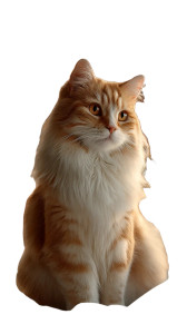 Guardian Cat Vinyl Car Decal Sticker – Waterproof & UV-Resistant 9.706666666666667"