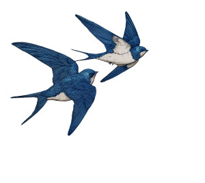 Swallows Over Ocean Vinyl Car Decal Sticker – Waterproof & UV-Resistant 3.4133333333333336"