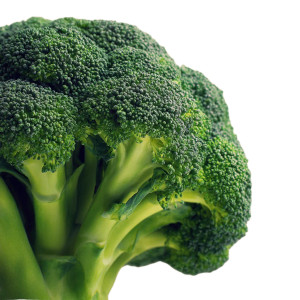 Closeup Broccoli Vinyl Car Decal Sticker – Waterproof & UV-Resistant 6.826666666666667" Closeup Broccoli Vinyl Car Decal Sticker – Waterproof & UV-Resistant 6.826666666666667"