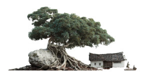 Old Tree Roots Vinyl Car Decal Sticker – Waterproof & UV-Resistant 2.72"