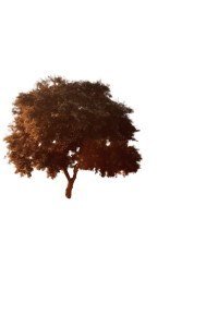 Desert Tree Blur V2 Vinyl Car Decal Sticker – Waterproof & UV-Resistant 8.96"