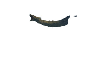 Flying Serpent Monster Vinyl Car Decal Sticker – Waterproof & UV-Resistant 3.0933333333333333"